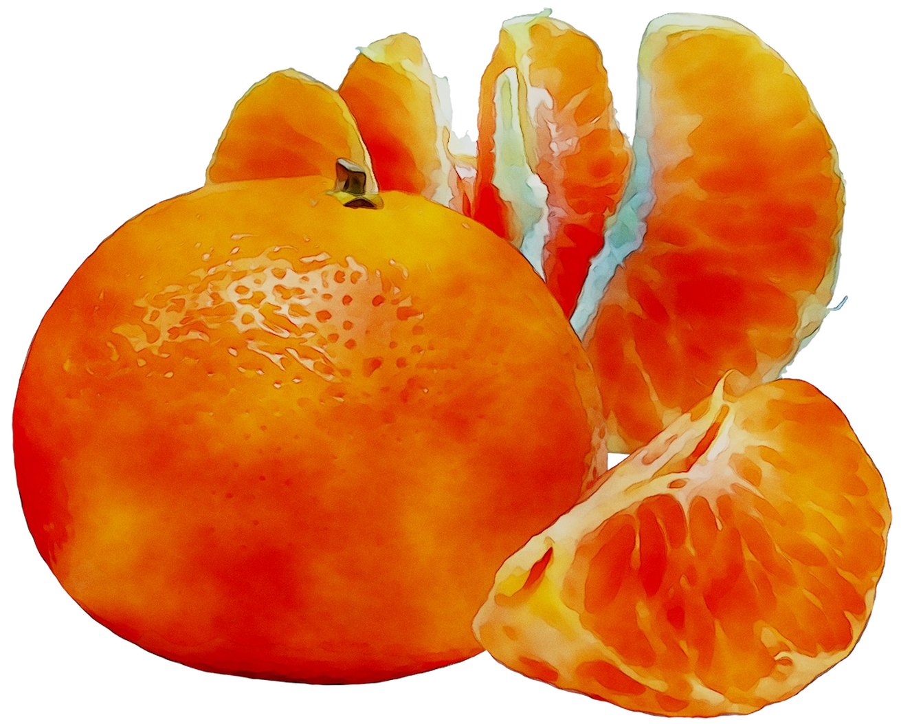 kissclipart-dibujo-mandarina-png-clipart-juice-cocktail-mandar-660e9455a4cd7206.png